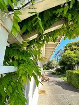 Woodland Park, San Leandro - Photo 1 of 1