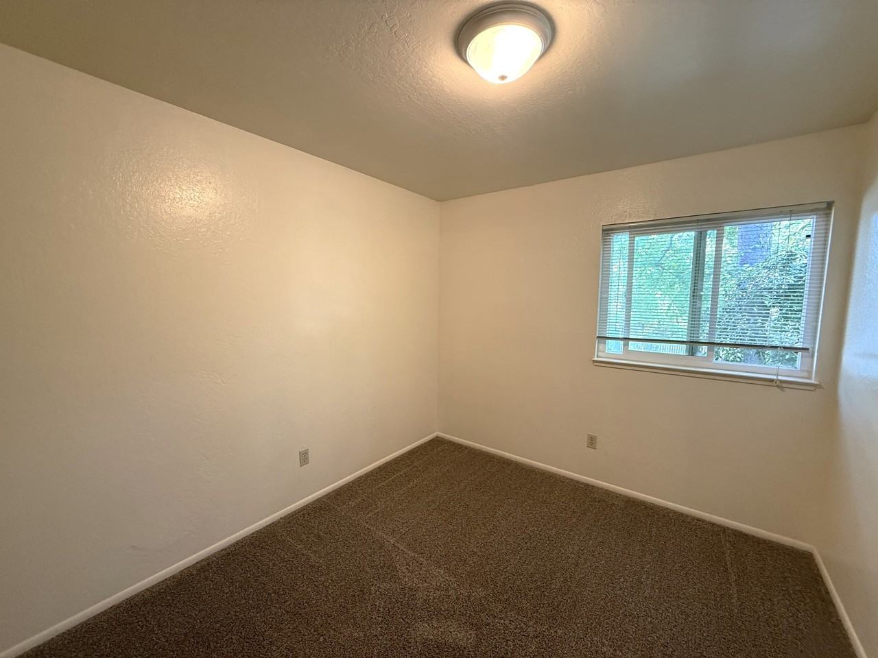 390 Ash St #4 - Photo 5 of 13