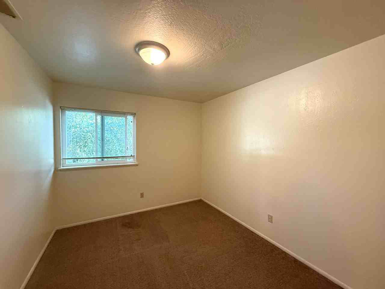 390 Ash St #4 - Photo 6 of 13