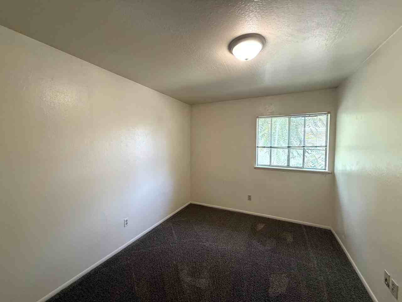 390 Ash St #4 - Photo 7 of 13