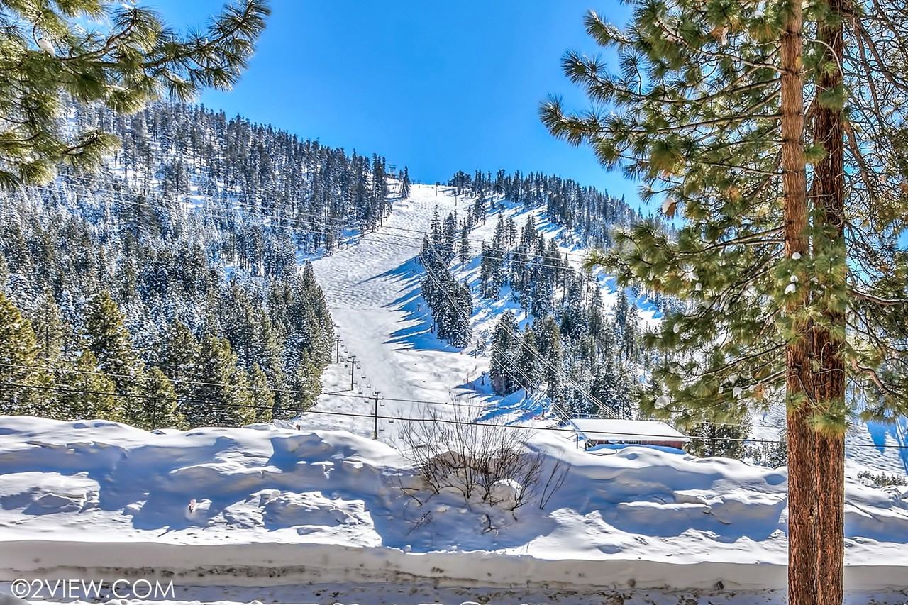 3829 Saddle Road #1 - Photo 6 of 25