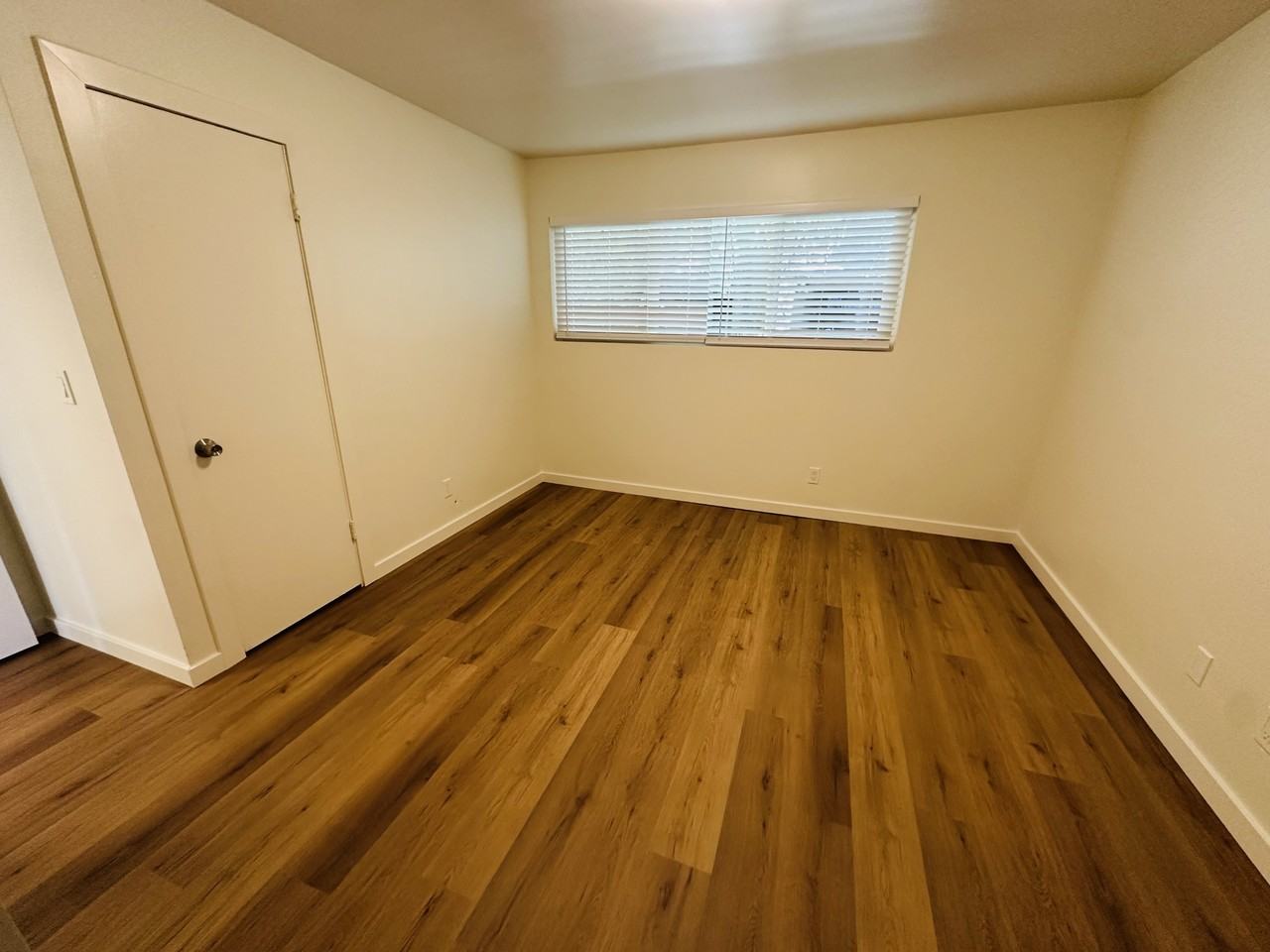 3963 3963 Via Lucero - 15 #15 - Photo 4 of 5