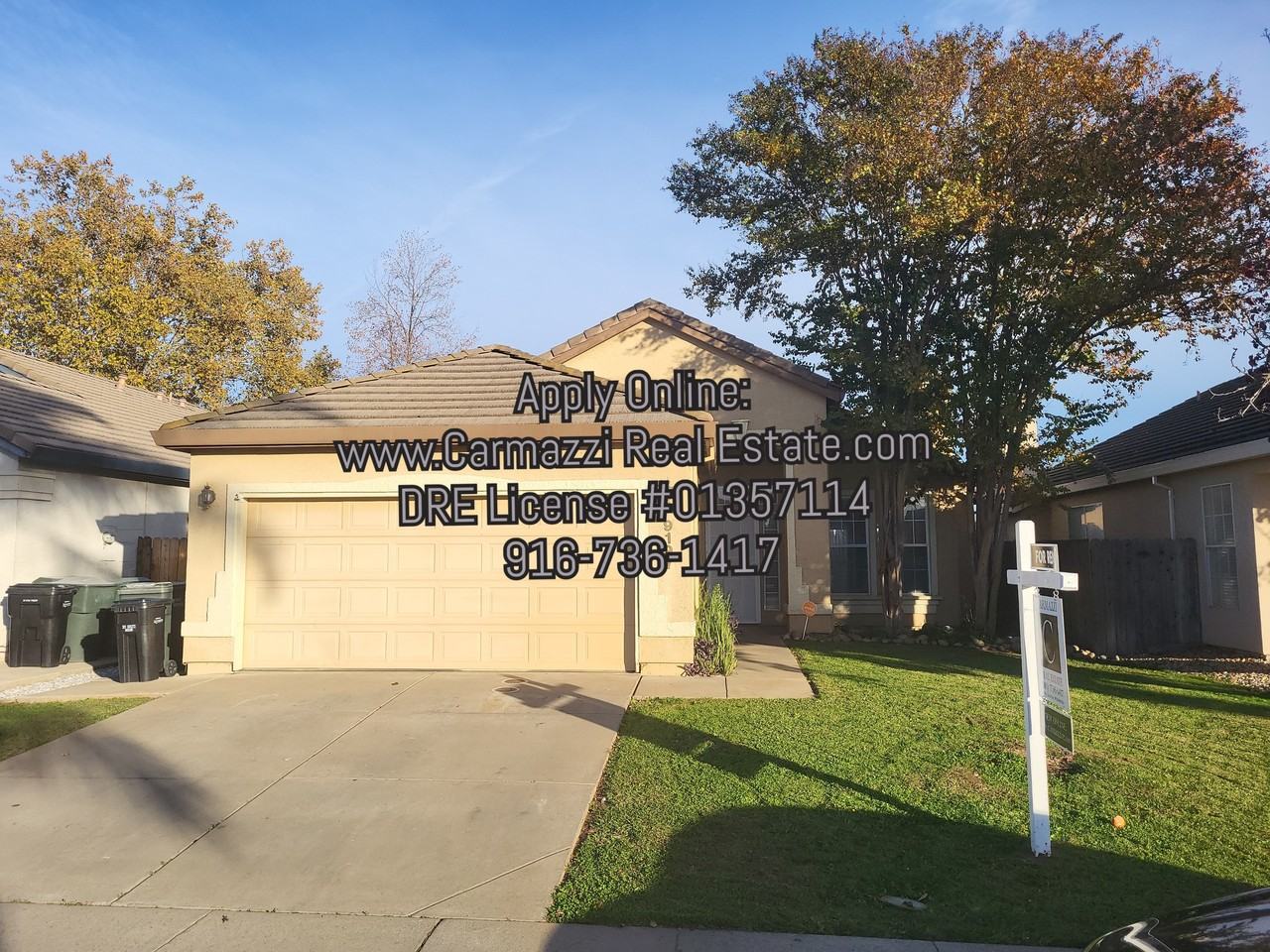 9197 Irish Gold Way #1