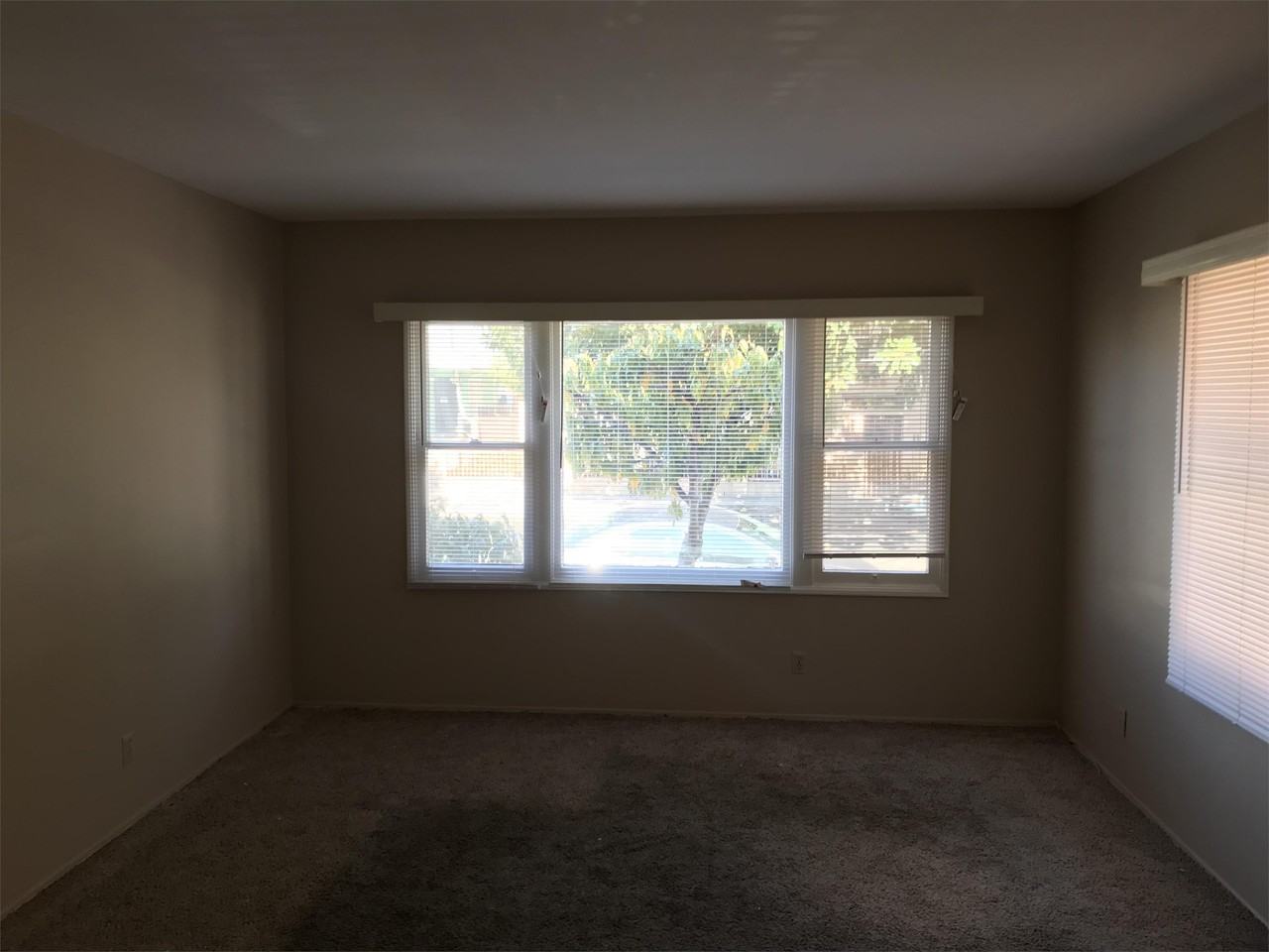 431 West 13th Street #433 - Photo 4 of 9