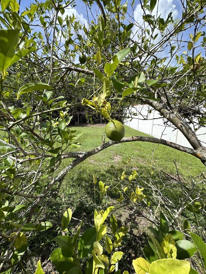 1067 Butler St E #1 - Photo 7 of 25