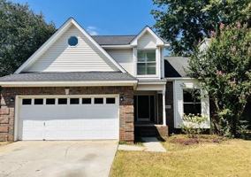 featured image of 29717 Alden Springs Court #1