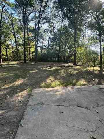 201 Hiawatha Dr #1 - Photo 6 of 11