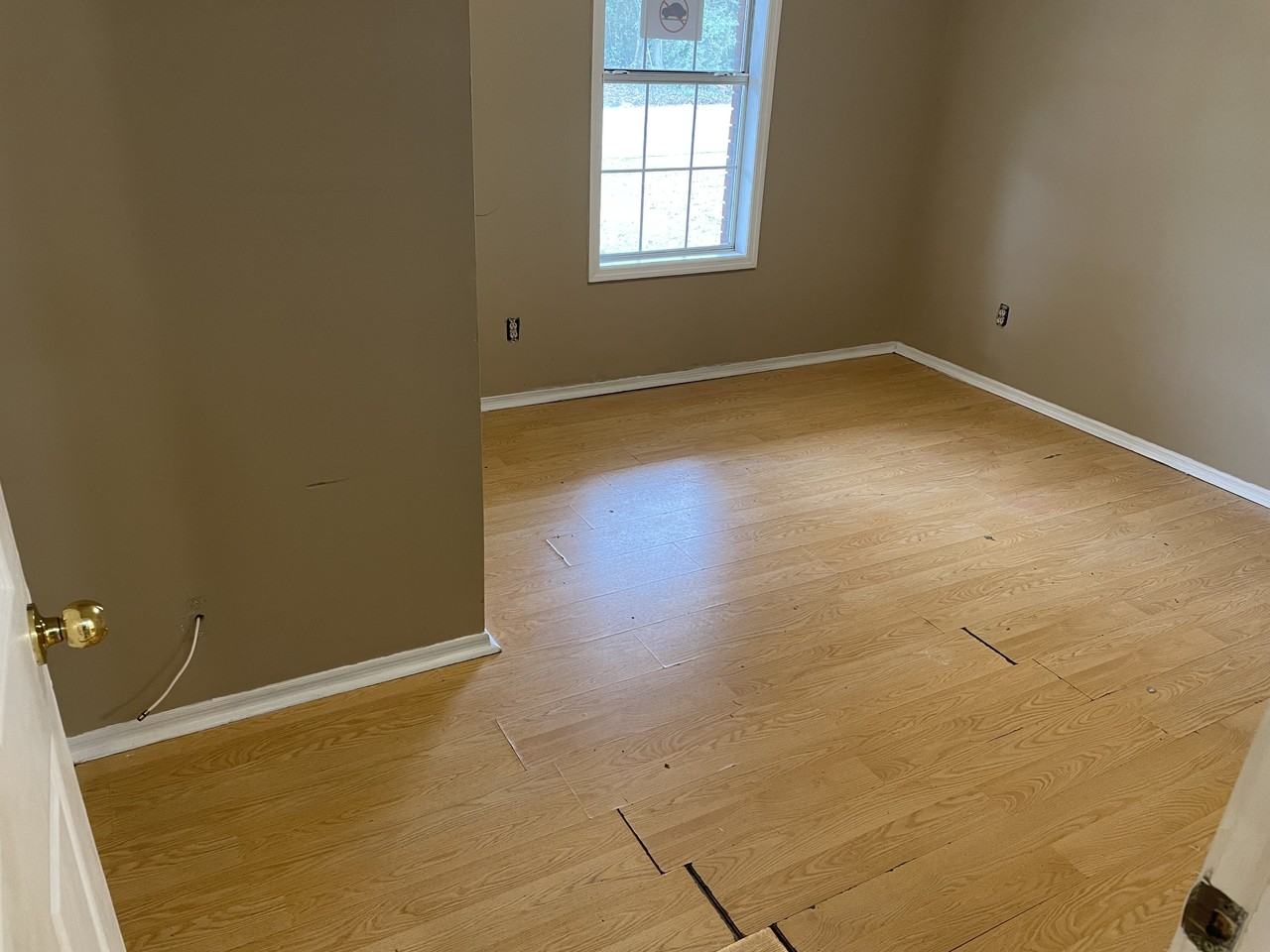 1007 Sonata Street #2 - Photo 2 of 9