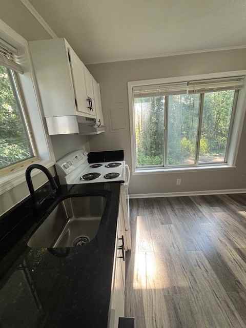 1517 Broadway #1517 - Photo 3 of 12