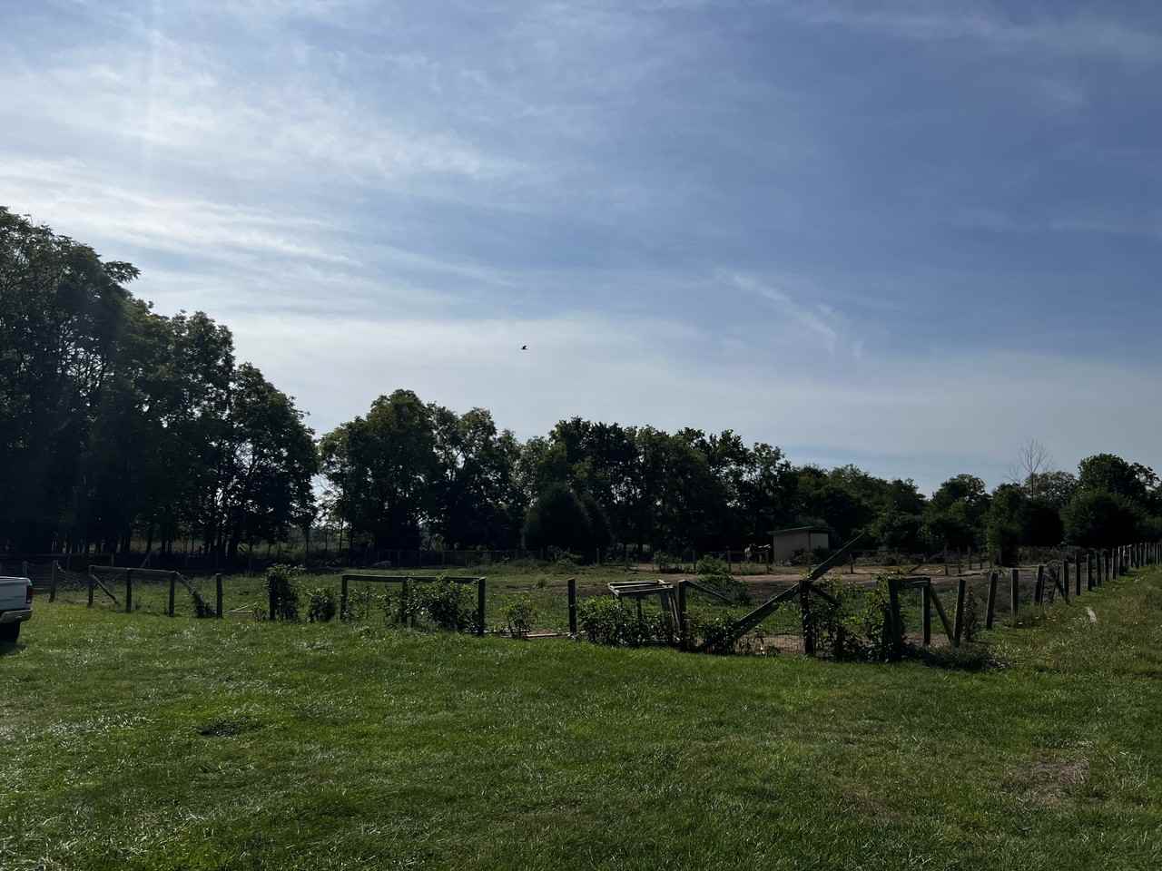 4190 Bowers Rd #1 - Photo 2 of 10