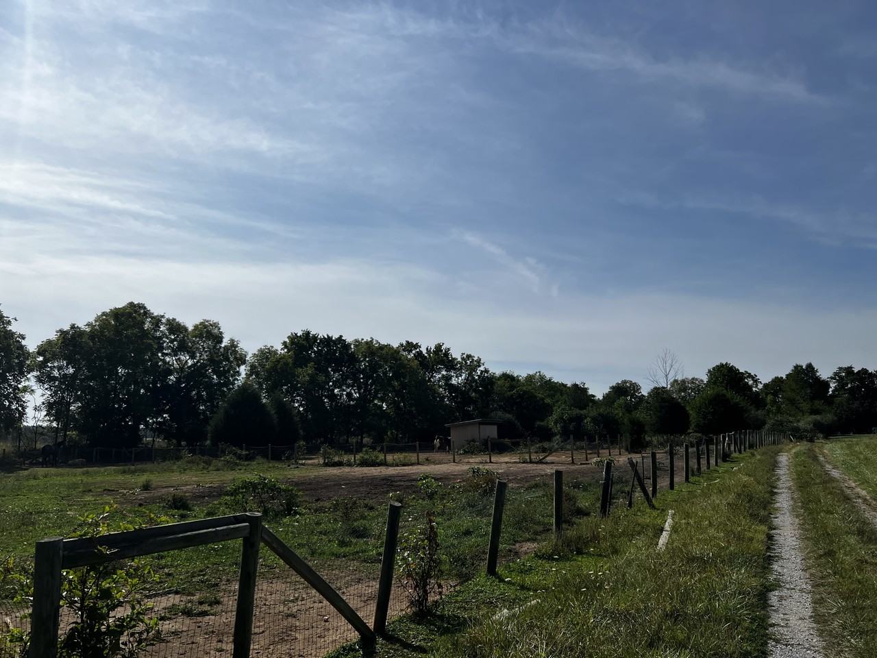 4190 Bowers Rd #1 - Photo 3 of 10