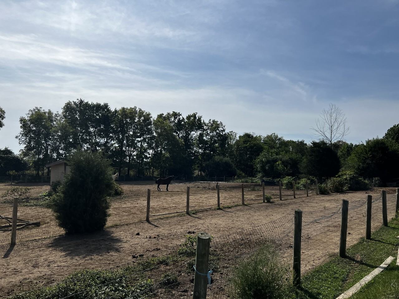 4190 Bowers Rd #1 - Photo 4 of 10