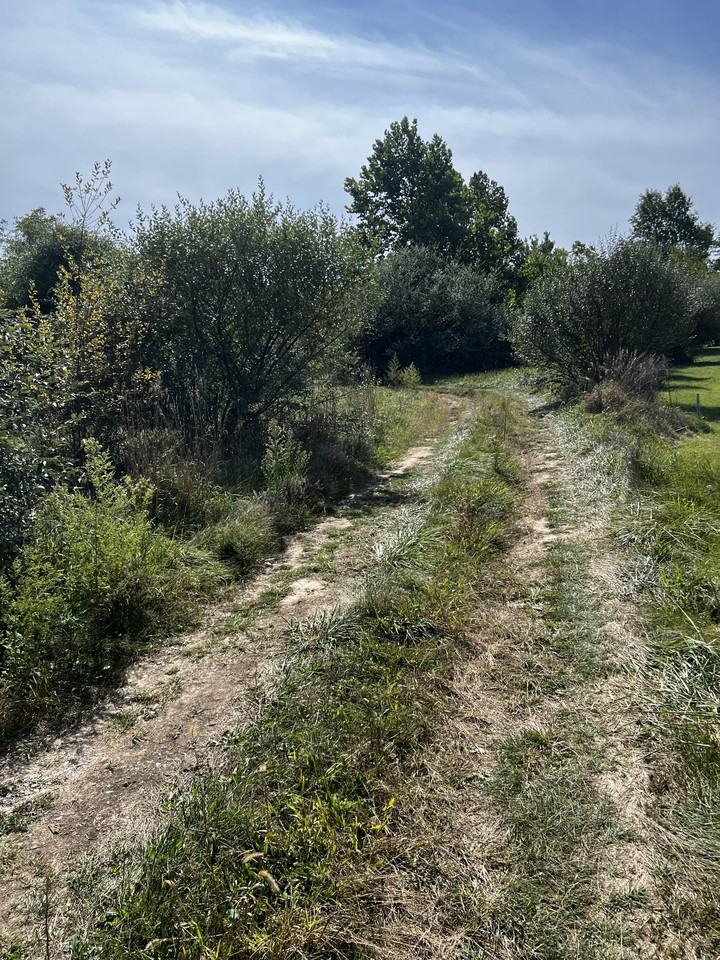 4190 Bowers Rd #1 - Photo 5 of 10