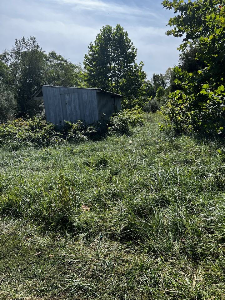 4190 Bowers Rd #1 - Photo 6 of 10