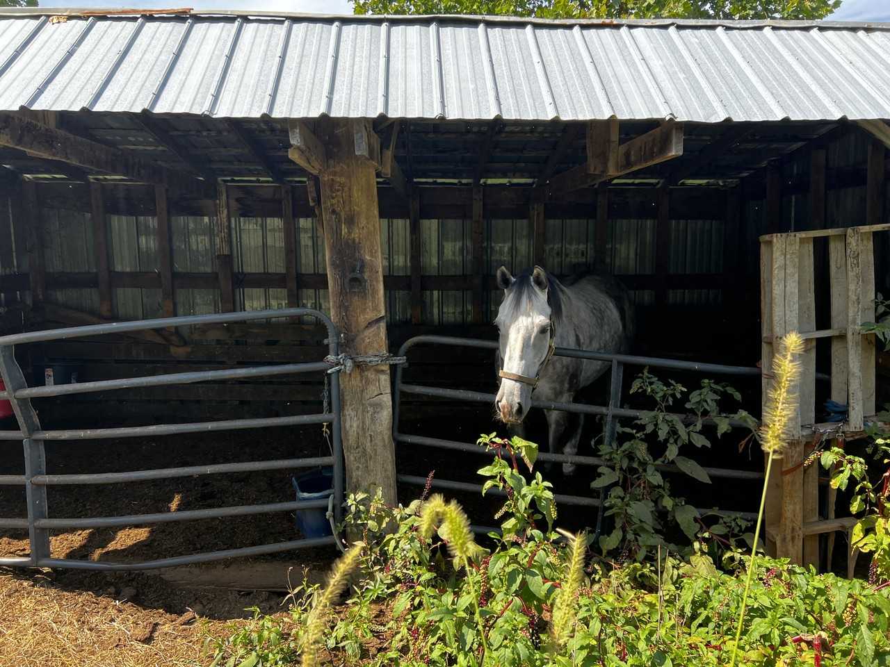 4190 Bowers Rd #1 - Photo 7 of 10