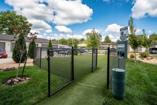 Monarch - Photo 1 of 1