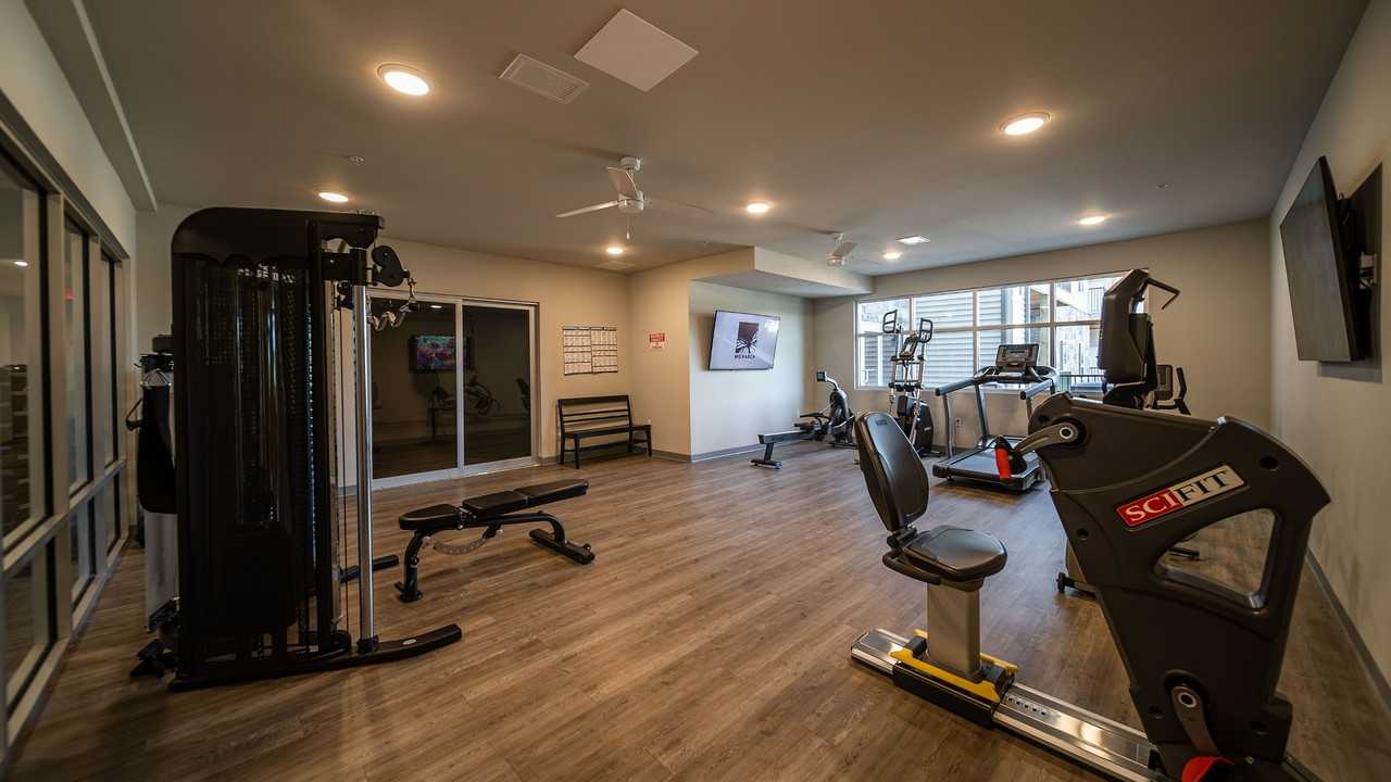 Monarch - Photo 5 of 50