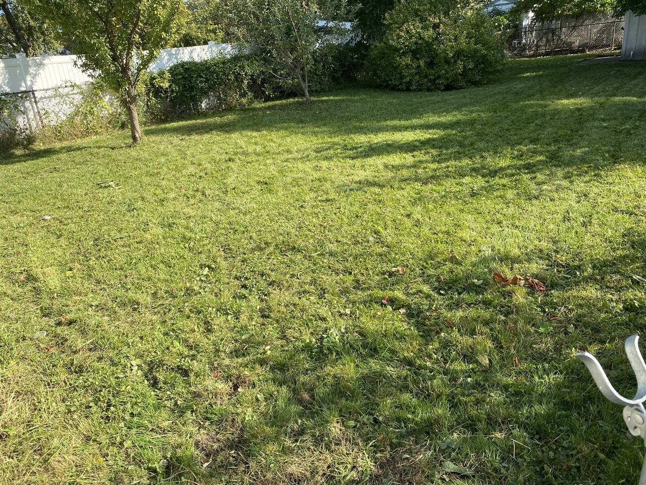 21576 Audrey Ave #1 - Photo 4 of 15