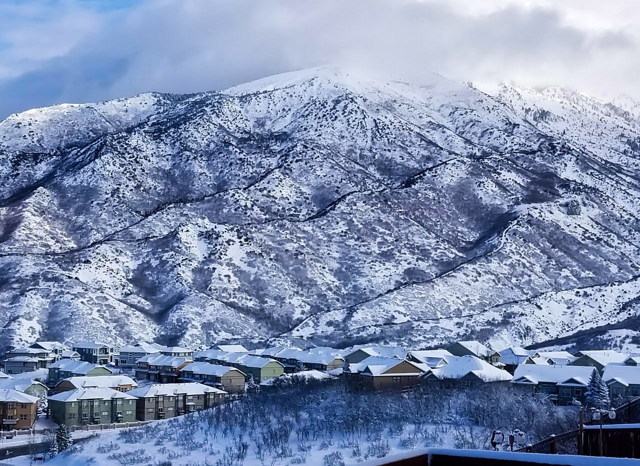 1995 Aspen Grove Ct #1 - Photo 2 of 30