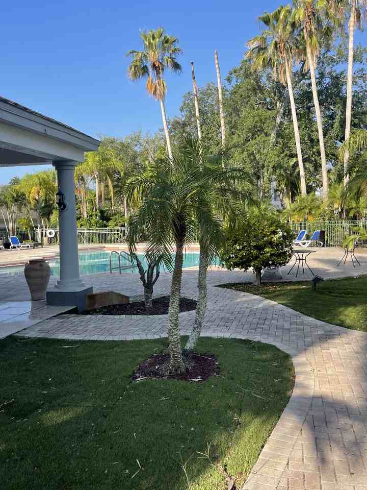 4360 Kirkman Road #1 - Photo 3 of 28