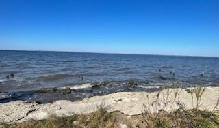 1537 Belangia Rd #1 - Photo 3 of 33