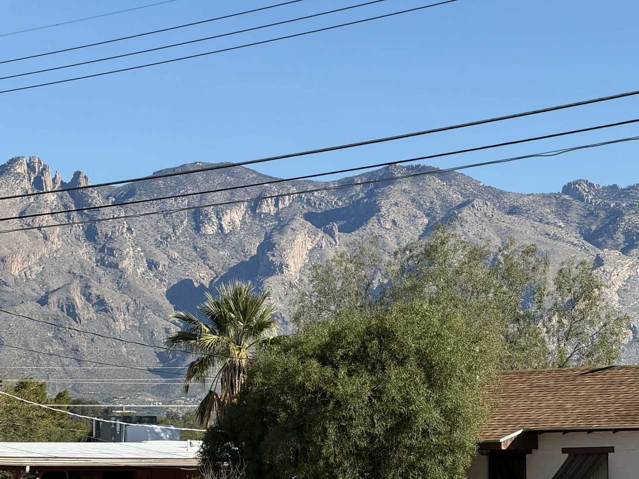 3865 1485 // 3865 N Tyndall Ave #1 - Photo 5 of 18