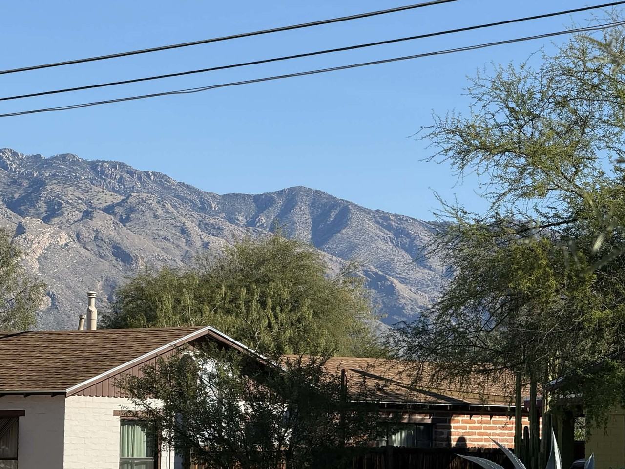 3865 1485 // 3865 N Tyndall Ave #1 - Photo 6 of 18