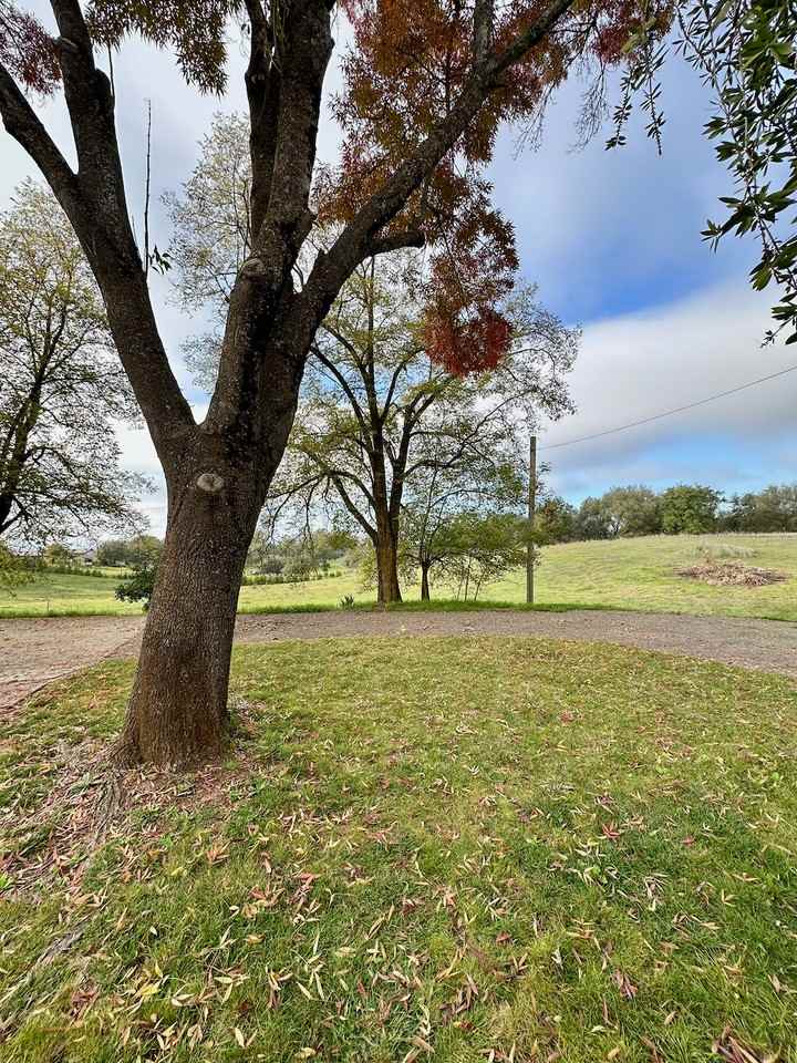 6181 Wise Rd #1 - Photo 6 of 24