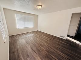 featured image of 709 Darling St #709