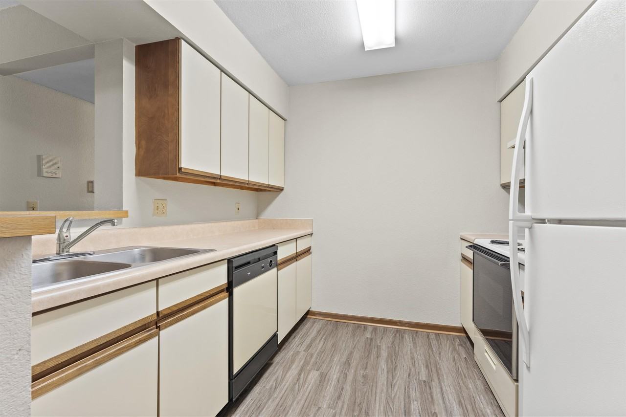 2104 Stirrup Lane - Photo 2 of 13