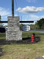 featured image of 274 Deodora Ln #1