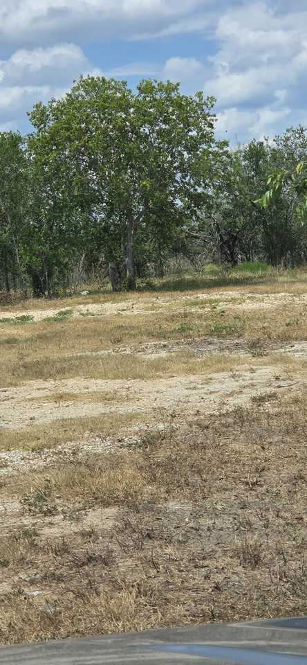 8279 Green Valley Road #1 - Photo 2 of 9