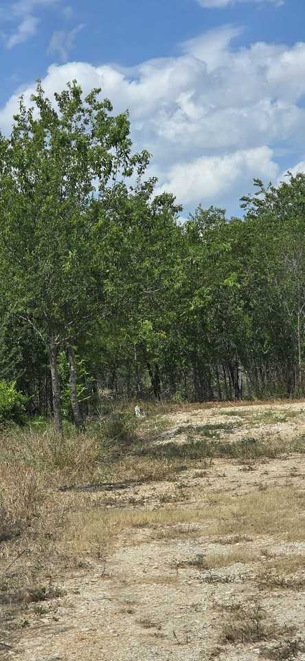 8279 Green Valley Road #1 - Photo 3 of 9