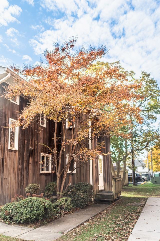 116 North Union Avenue #1 - Photo 4 of 50