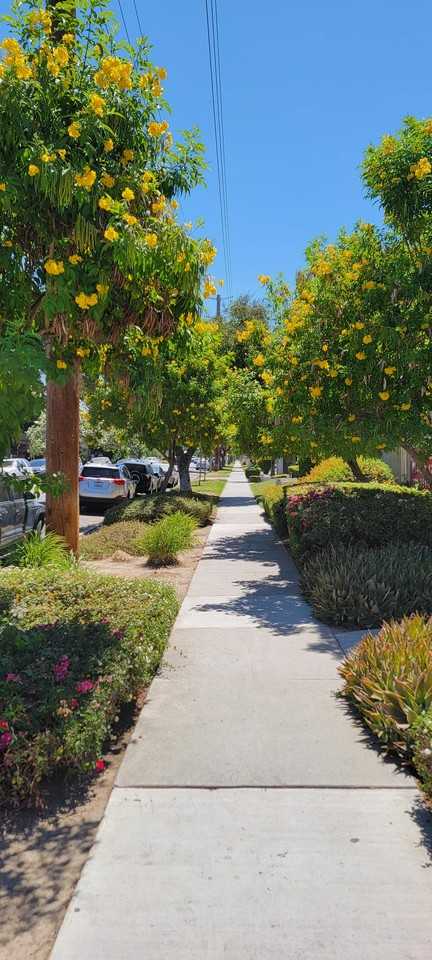 1864 12th St #6 - Photo 5 of 6