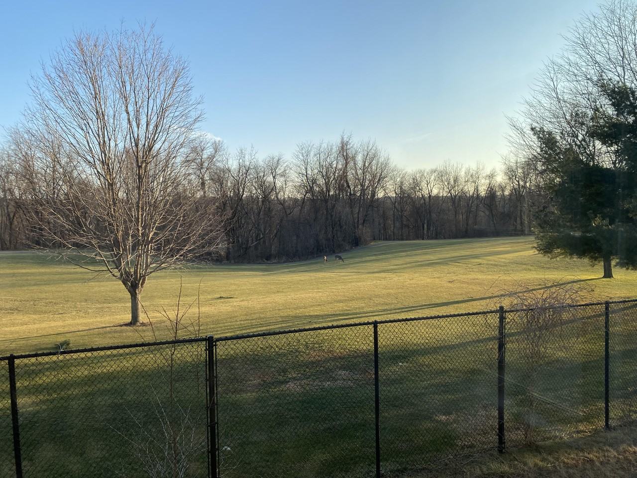 1521 Mccleary Ln #1521-2D - Photo 7 of 10