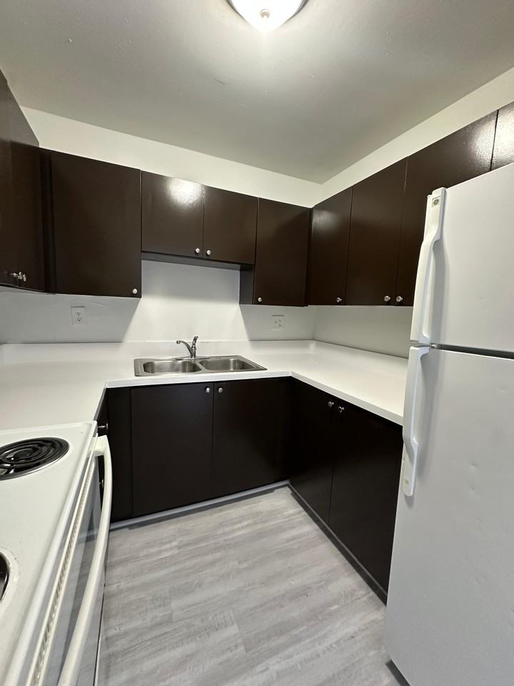 1825 West Boulevard #1 - Photo 3 of 20