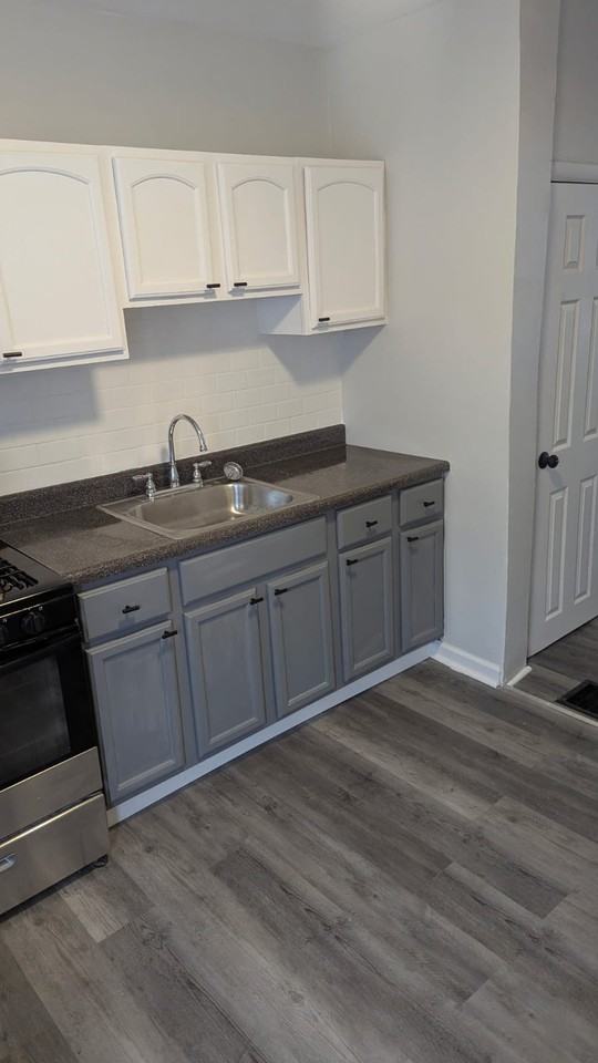 1538 S Dover St #1 - Photo 4 of 14