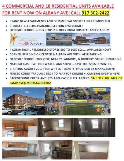 252 Albany Avenue - Photo 6 of 11