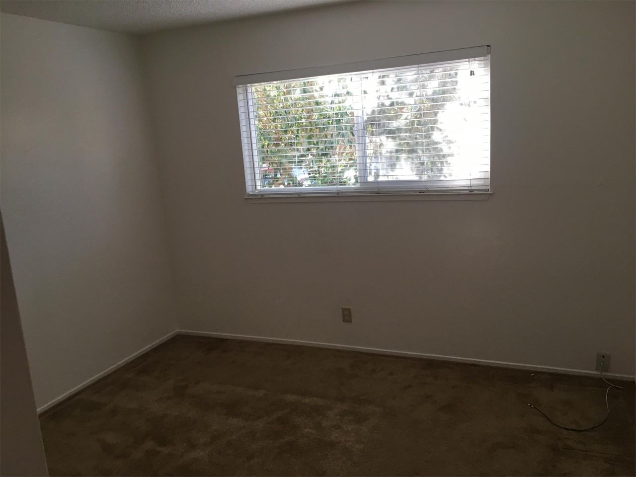 1230 Mcminn Ave #001 - Photo 5 of 7