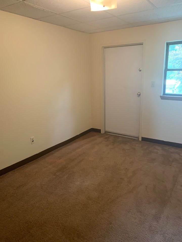 209 Saline Street #2 - Photo 4 of 18