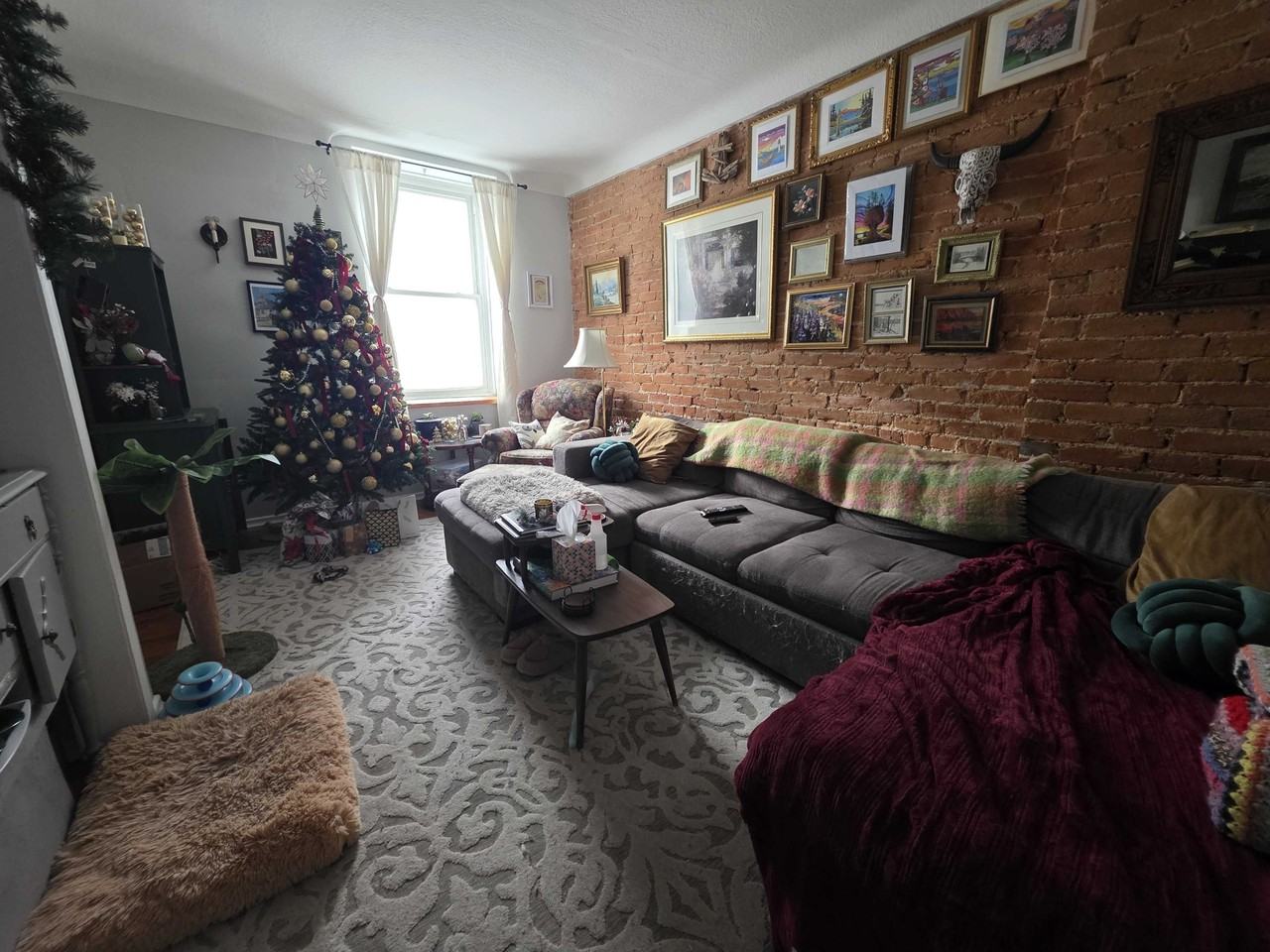 79 Queen Street #79-1 - Photo 2 of 10