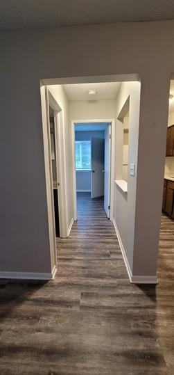 1015 Cato Ln #1015B1 - Photo 3 of 12