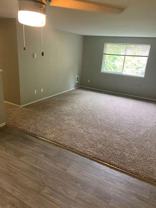 11822 1st Ave S - Photo 1 of 1