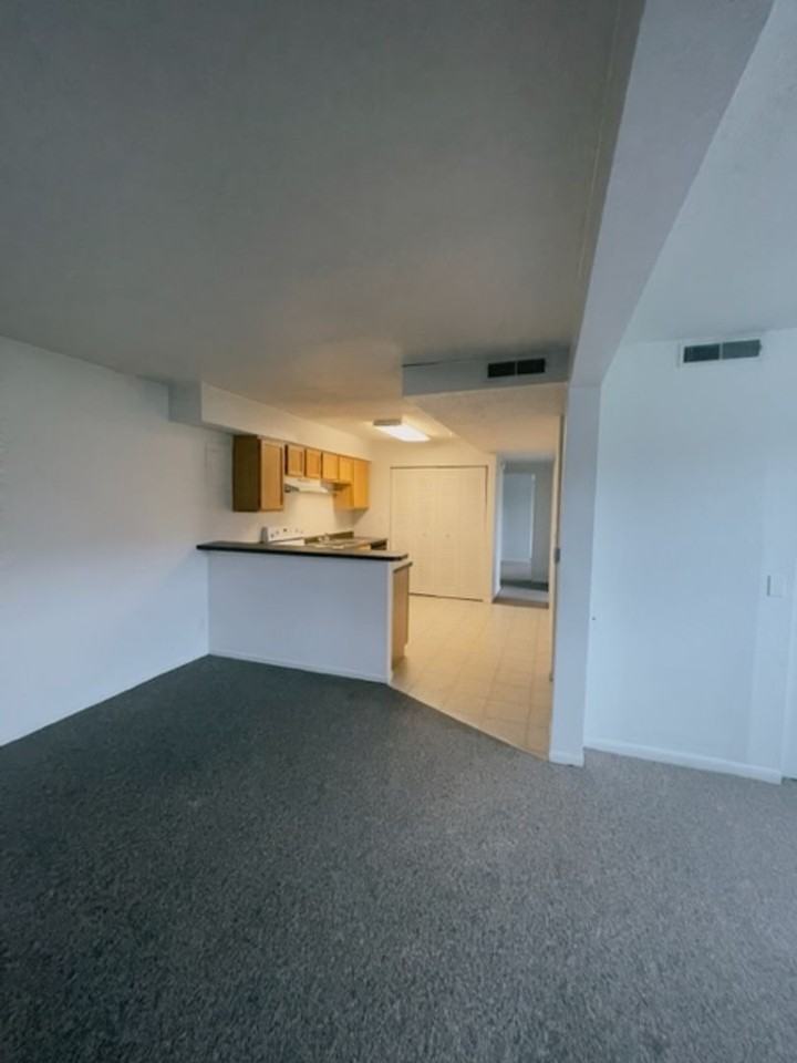 Lexington - Photo 3 of 50