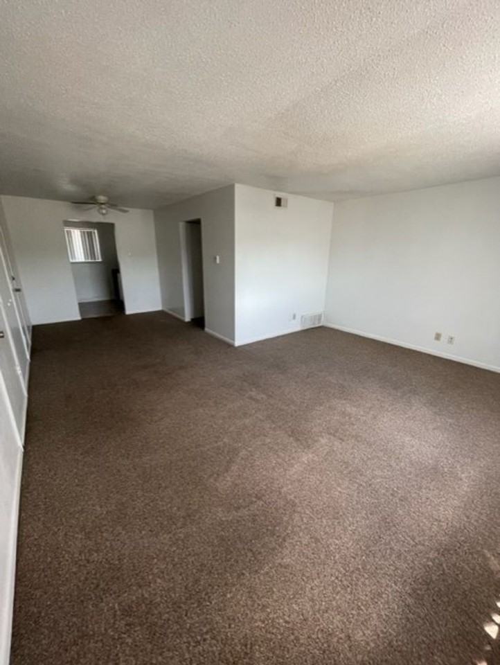 Lexington - Photo 2 of 15