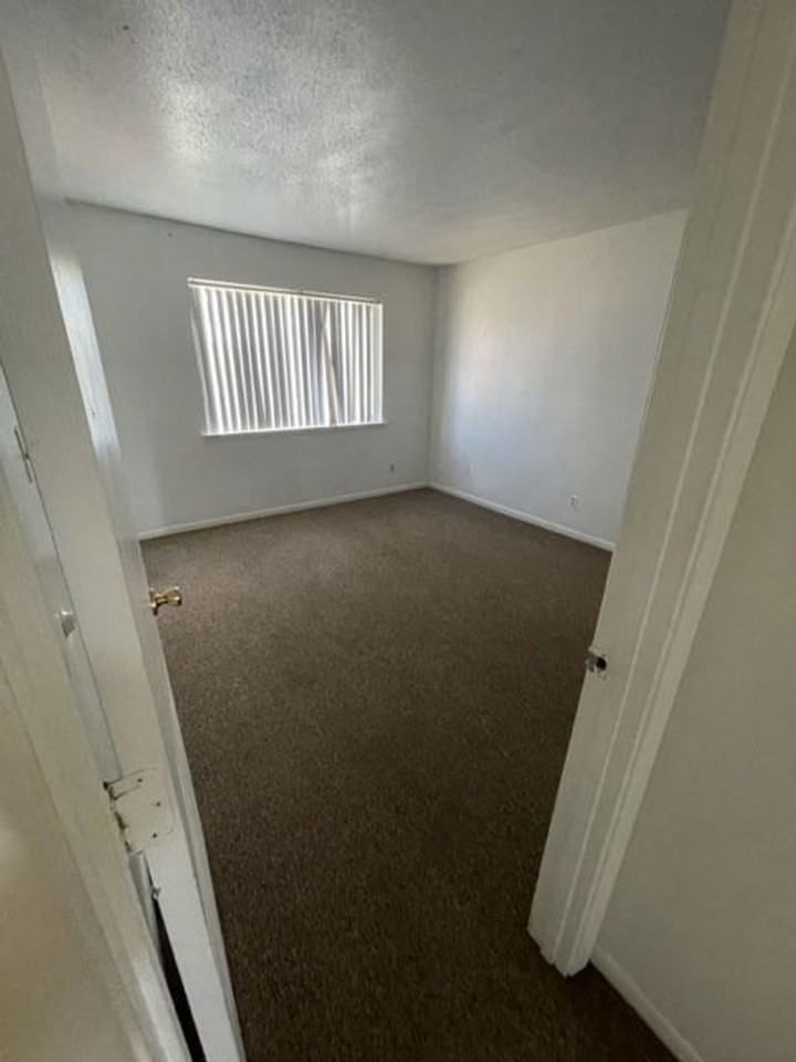 Lexington - Photo 7 of 15