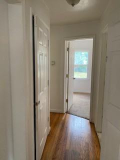 19950 Oakfield Avenue #1 - Photo 4 of 14