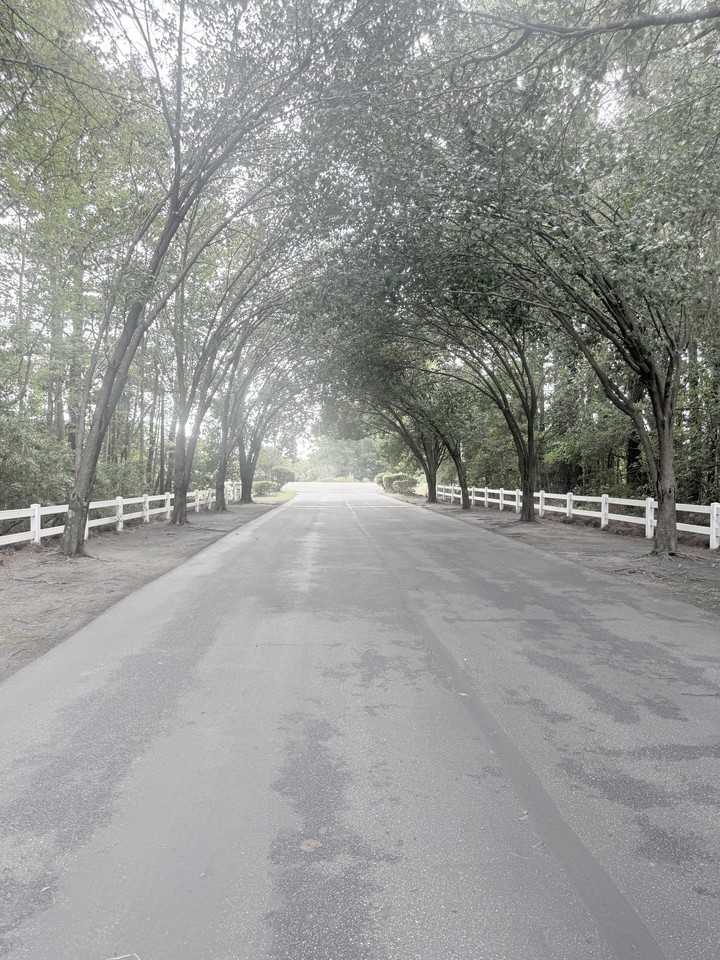 8558 Hopkins Cir - Photo 2 of 40