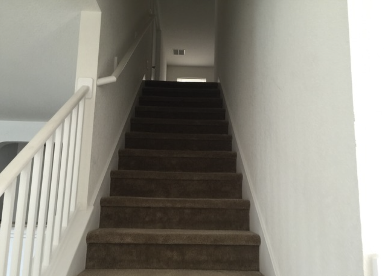 9047 Canter Horse #1 - Photo 5 of 11